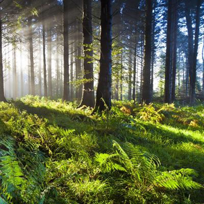 安博体育·(中国)官方网站app下载