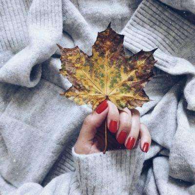 凤凰彩票welcome下载手机版