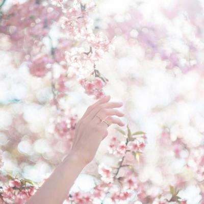 乐彩彩票welcome手机app下载